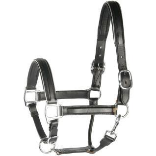 Leather horse halter with piping Harry's Horse