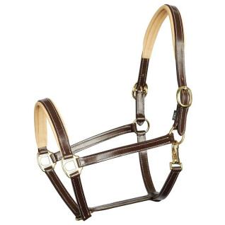Leather halter for horses Harry's Horse Elegance