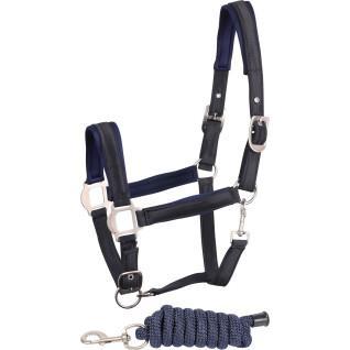 Halter and lead rope set for satin horse Harry's Horse