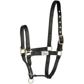 Halter for horse controller Harry's Horse