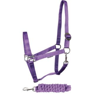 Halter and lead rope set for horse Harry's Horse Initial