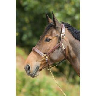 Leather halter for horse HFI Grooming