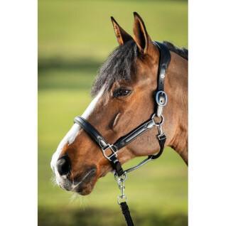 Leather halter for horse HFI Wave