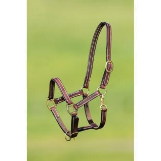 Lined leather halter for horse HFI