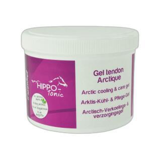 Refreshing gel for horses with arctic tendon Hippotonic