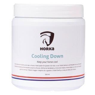 Refreshing massage gel for horse tendons Horka