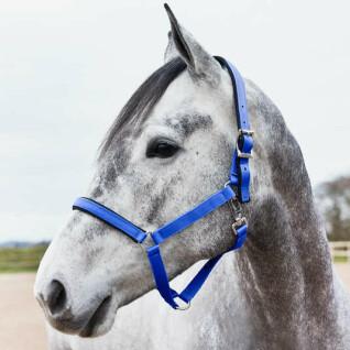Halter for horse with lining Horze Supreme