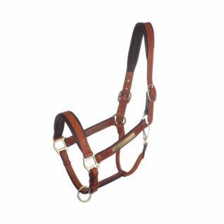 Halter for horse in soft leather Kavalkade Nordic