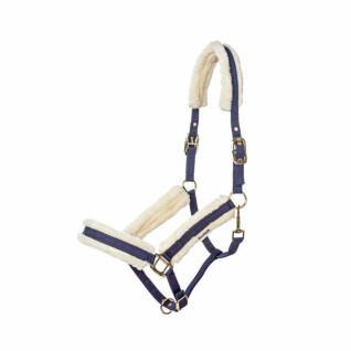 Halter for horse in half nylon with lambswool Kavalkade Wool