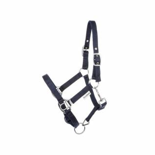 Halter for horses in two different sizes Kavalkade Shorty