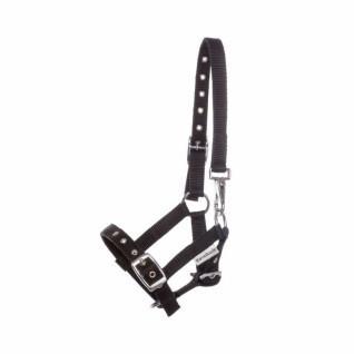 Halter for foal and yearling Kavalkade