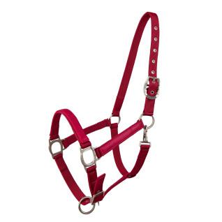 Halter for horse Lami-Cell LC
