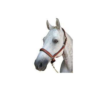 Halter for horse Lexington Denver