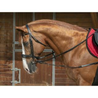 Short elastic horse bridle/blanket Norton Pro