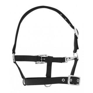 Halter for horse Norton breathable