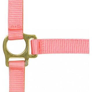 Halter for foal and lead rope Norton