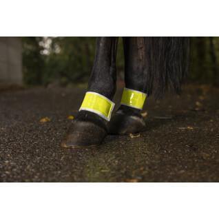 Pair of elastic horse bandages for hind legs Norton