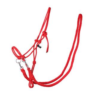 Halter for horse with reins QHP