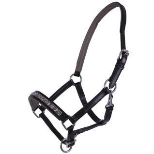 Leather halter for foal QHP Lupine