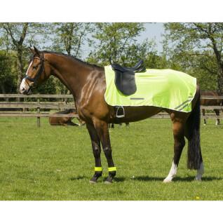 Reflective horse rugs QHP