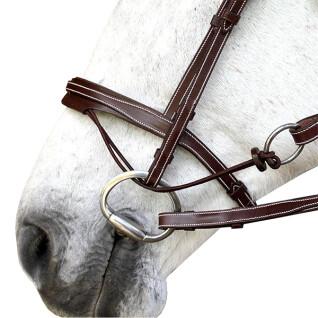 Horse noseband Silver Crown Valla