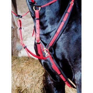 Hunting collar for horse T de T