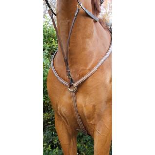 Hunting collar for horse with stitching T de T