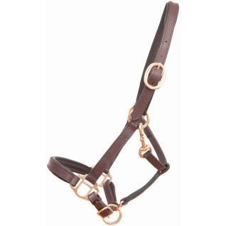 Leather horse halter for foal or mini horse T de T