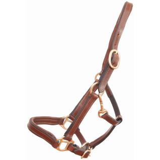 Halter for foal or mini leather horse T de T