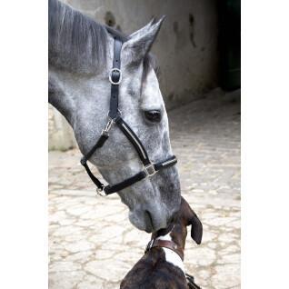 Leather halter for horses T de T Clincher