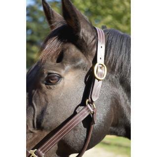 Leather halter for horses T de T Trippled Stiched