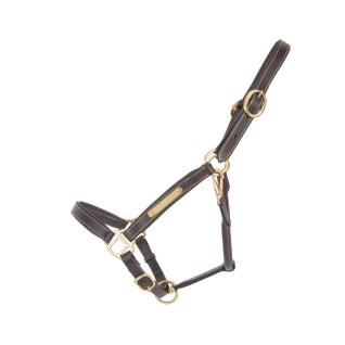 Leather halter for horse with plate T de T