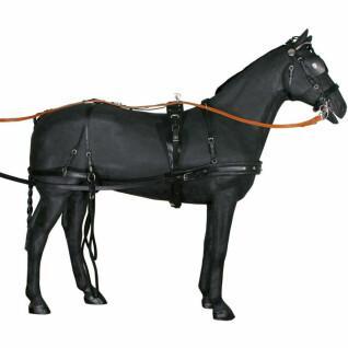 Double leather harness for horses Tattini