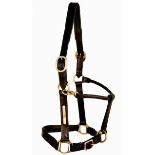 Leather halter for horse quilted skin Tattini