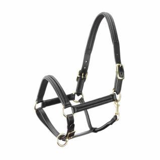 Tattini leather horse halter with curved lining