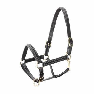 Halter for horse in leather with curved lining Tattini