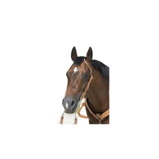Bridles for horses Westride Franck Perret 1 oreille