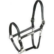 Halter for thoroughbred horse leather grooming ERIC THOMAS “Pro”