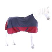 Horse blanket Equithème TYREX 1200 D 300g