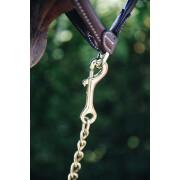 Stallion chain Kentucky