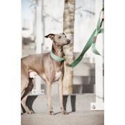 Dog leash Kentucky Jacquard 140cm