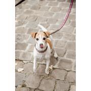 Dog leash with handmade beads Kentucky 250cm