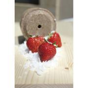Salt block strawberry / carob / mallow Officinalis Lollyroll