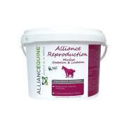 Mineral Supplement for Mares Equine Alliance Reproduction