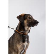 Dog collar Alpha Industries Dog-Tag
