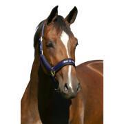 Halter for horse Back on Track Werano