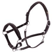 Horse halter in lacquered leather BR Equitation Edinburgh