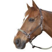 Leather halter for horse with reins Canter