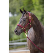 Halter for horse Covalliero Classy
