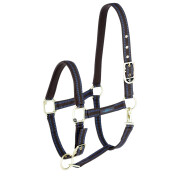 Halter for horse Covalliero Royal